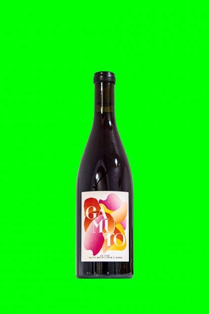 Les Tétes Gamuto 2021 Loire