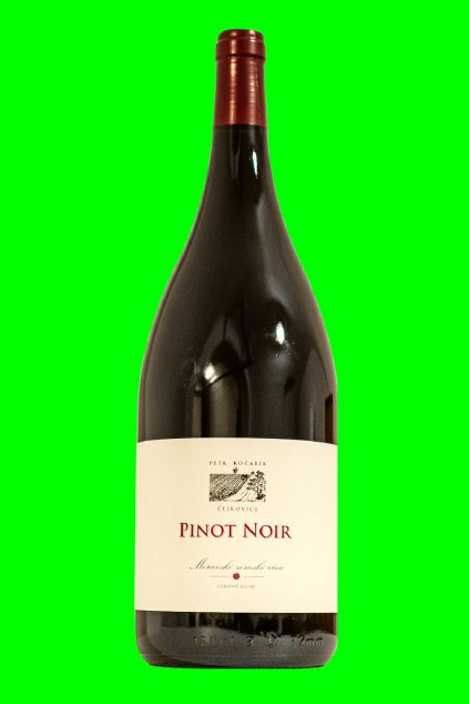 Petr Kočařík Pinot Noir 2022 MGN Velkopavlovicko