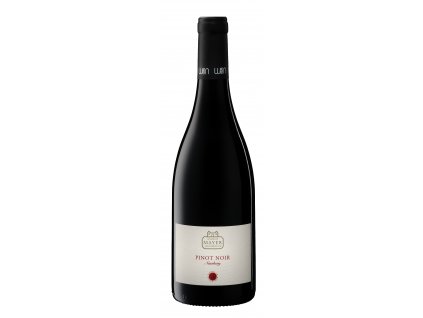 Mayer am Pfarrplatz Pinot Noir Nussberg