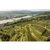 Weingut Stadt Krems Ried Grillenparz