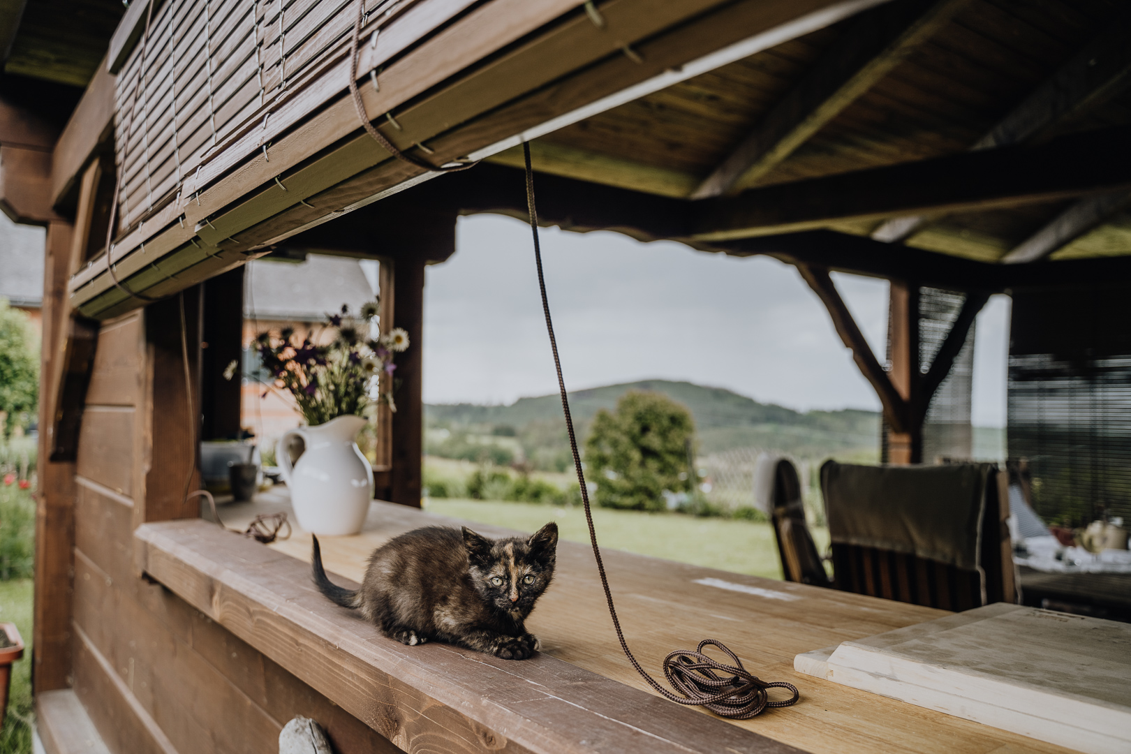 Jak na 4 nejčastější trápení pod pergolou