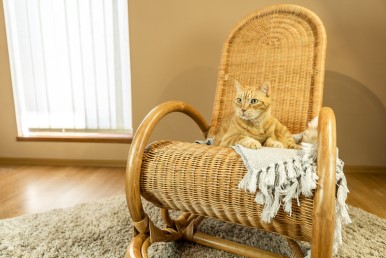 Koho číst a poslouchat? Tipy na obsah pro nadšené i unavené rodiče.