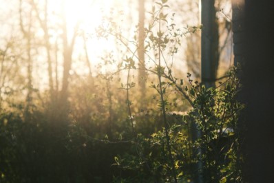 Oživte svou zahradu