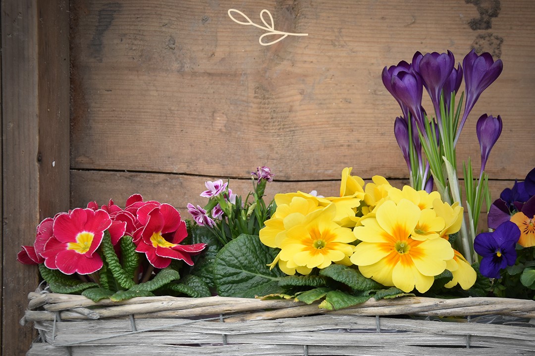 Odpočinková zahrada na balkoně