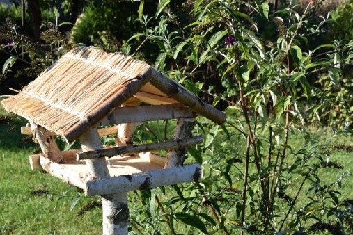 Krmítka pro ptáky, aneb soukromý ptačí cirkus