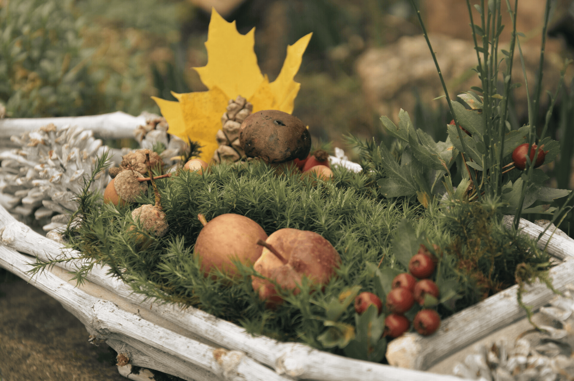 5 tipů, jak ozdobit vstup do domu a potěšit sebe i sousedy