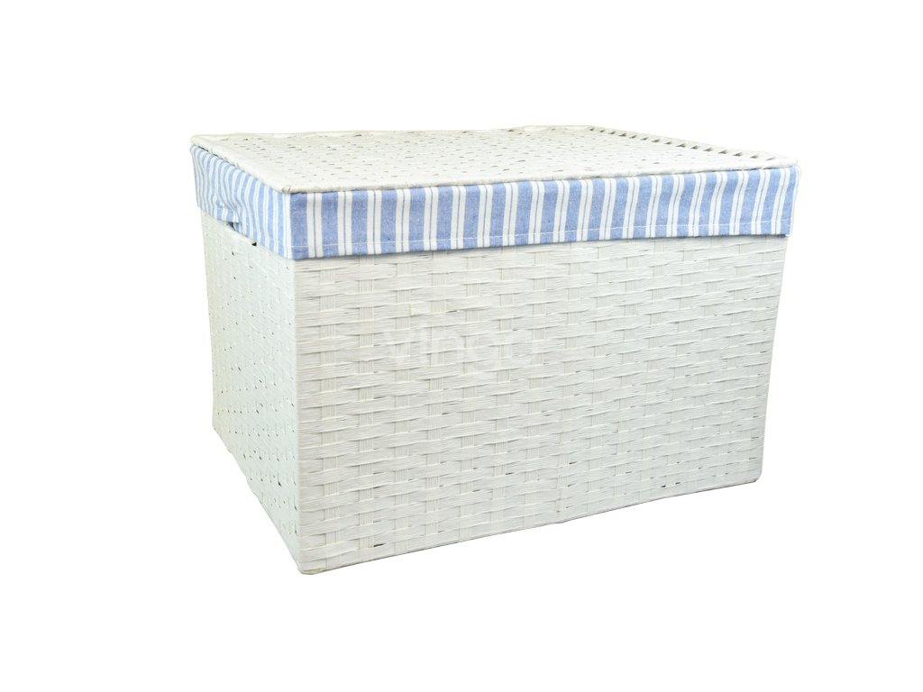 Úložný box s víkem bílý (rozměry (cm) 32x21, v. 24)