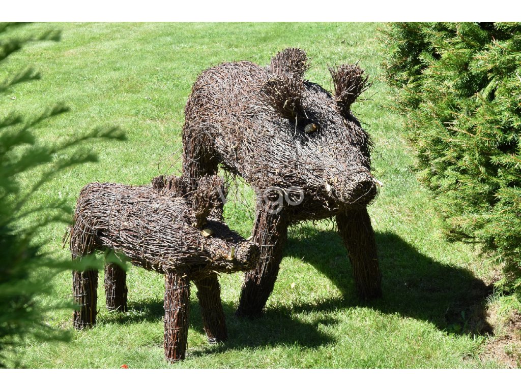 Divočák (rozmery 66x21x50)