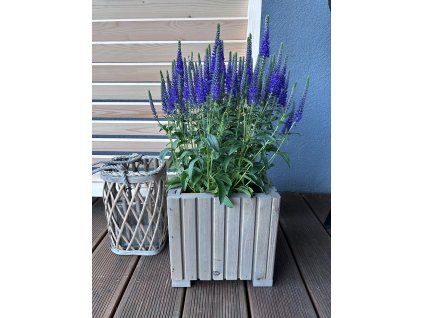 Proutěná lucerna šedá - 17x17, v. 26 cm