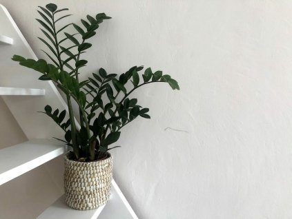 Sada 3 kulatých boxů z mořské trávy s bílým propletením