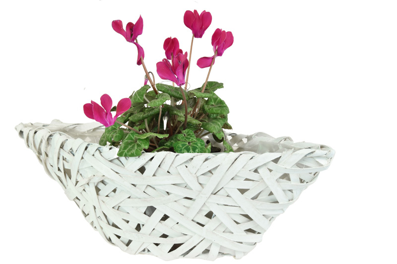 Proutěný květináč loďka s igelitovou vložkou - 42 x 15 cm