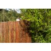 Proutěná zástěna na plot, 3 m