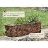 “Mám na parapetu celý rok a měním jen dekorace.” (1)