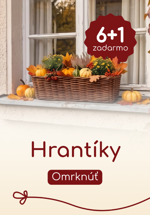 Truhlíky 6+1 Zadarmo