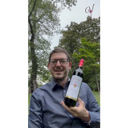 HRABAL NER Grand Vin 2020 (CZ)