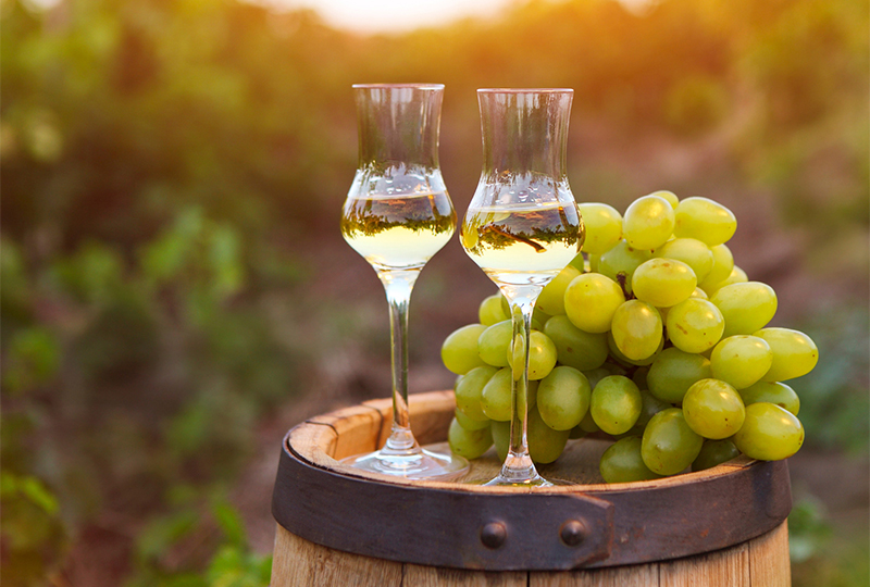 Co je to grappa a jak se správně pije?