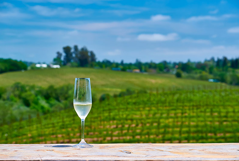 Na návštěvu do vinařství La Vigna di Sarah za proseccem a za noční sklizní