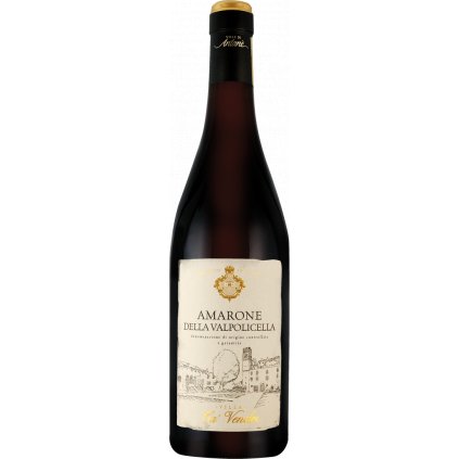 010818 Le Ville di Antante Amarone l