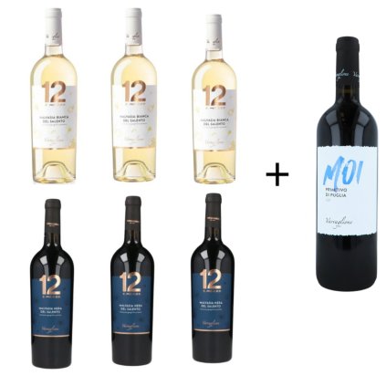 SET 5 Vína 6+1 ZDARMA