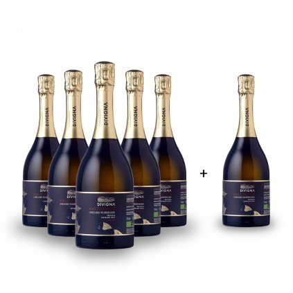 1024 product image divigna extrabrut 5+1