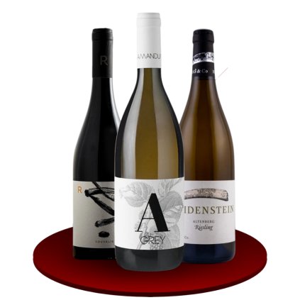 Kopie návrhu Bez názvu (4)