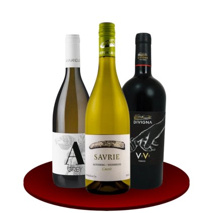 Kopie návrhu Bez názvu (2)