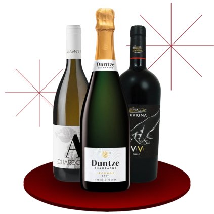 Kopie návrhu Bez názvu (1)