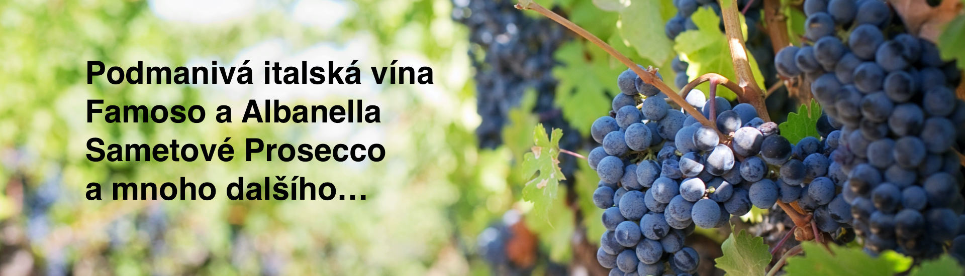 Podmanivá italská vína