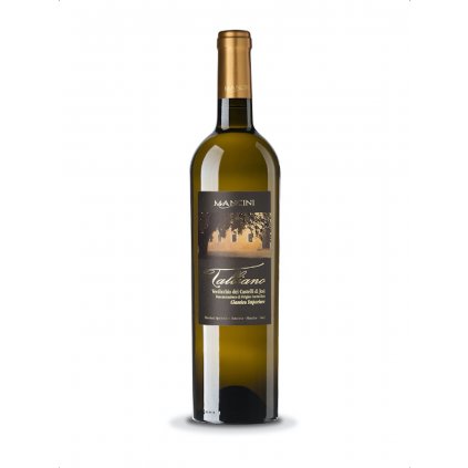 Mancini Talliano Verdicchio DOC