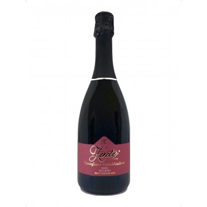 Zinto Prosecco Sui Lieviti Brut Nature DOCG