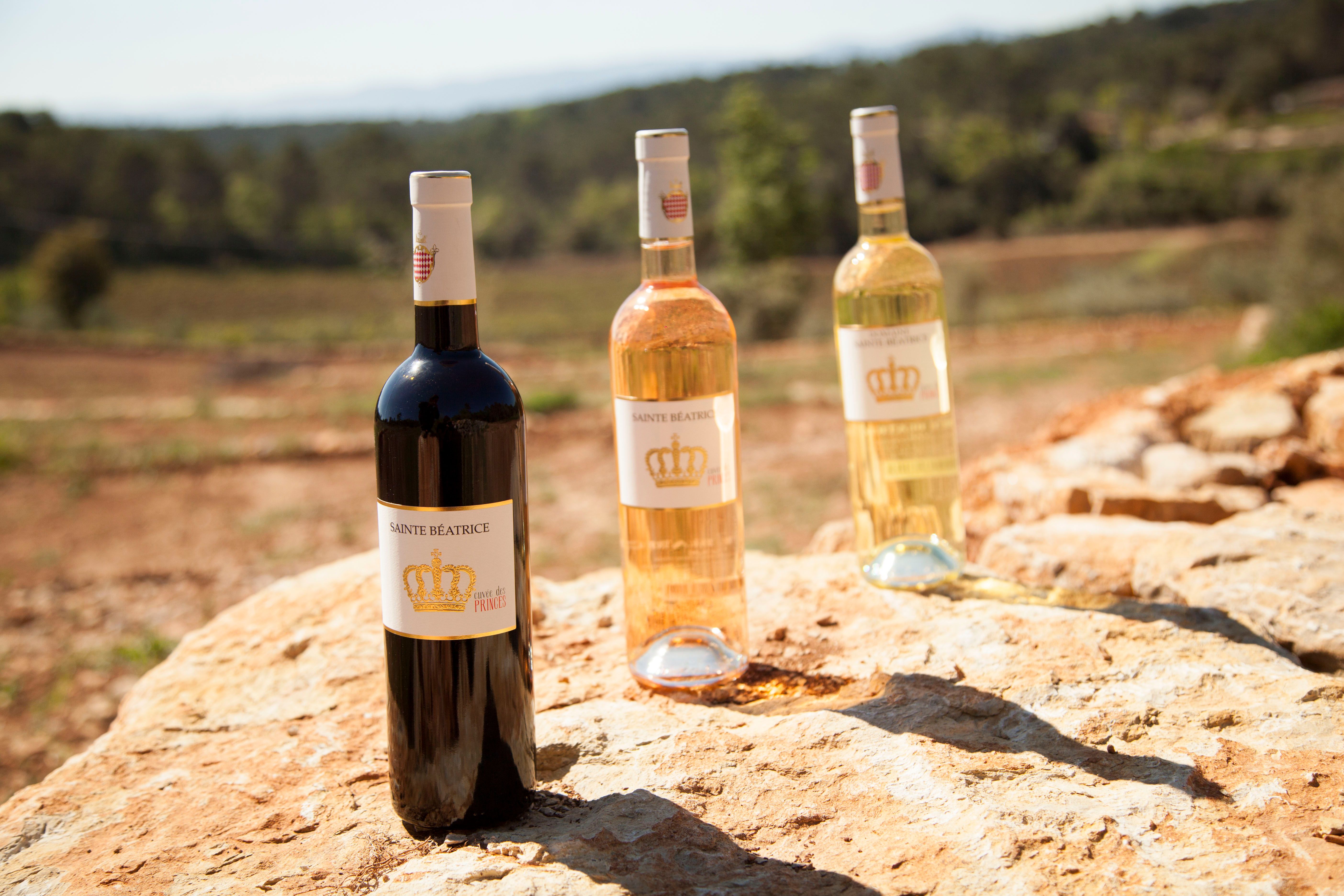 Objevte eleganci a jednoduchost s Cuvée des Princes Rouge [2024]