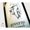 Governo 6