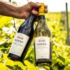 Initiation aux Vins du Jura