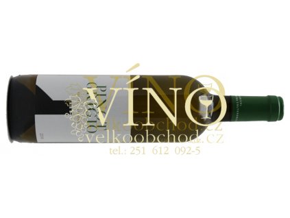 Akce ihned Colterenzio Linea Classica Pinot Grigio 2021 DOC 0,75 l italské bílé víno z oblasti Alto Adige