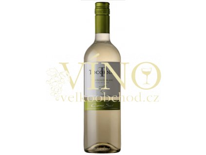 Screenshot 2022 12 04 at 21 14 32 Tocornal Sauvignon blanc Cono Sur