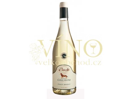 Pinot Grigio Villa Canlungo Green Label Venezia Giulia