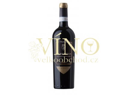 Tinazzi Valpolicella DOC 0,75 L suché italské červené víno z Veneto