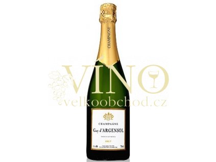 1021 champagner guy dargensol brut big
