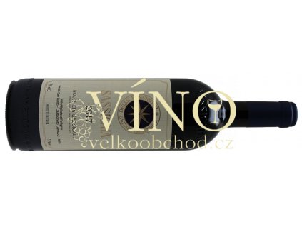 Akce ihned Bolgheri Sassicaia IGT 2017 Tenuta San Guido 0,75 l (holá láhev)