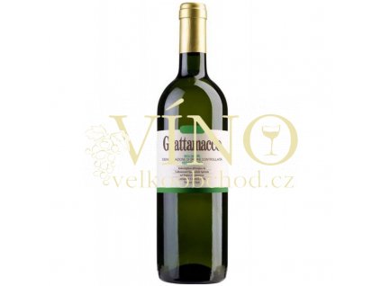 grattamacco bolgheri vermentino