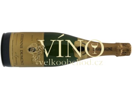 Akce ihned víno Etienne Dumont Champagne Brut 0,75 l francouzské šampaňské