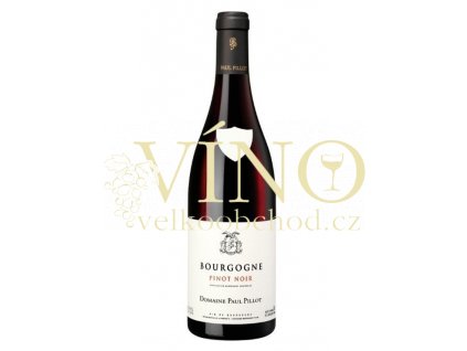 bourgogne pinot noir 2017 (2)