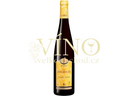 Screenshot 2023 10 08 at 12 08 01 Gisselbrecht Pinot Noir 2021 VICOM vino.cz