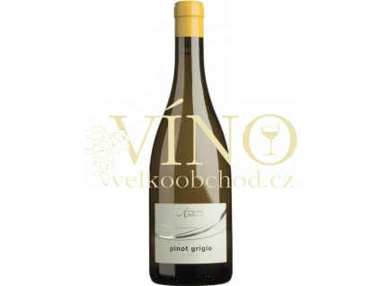 Screenshot 2024 04 18 at 14 51 33 Pinot Grigio Kellerei Andrian E shop Global Wines & Spirits