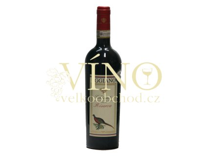 Uggiano Chianti Riserva 2021 DOCG