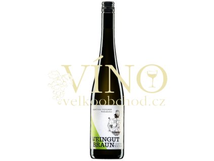 Screenshot 2024 10 04 at 20 17 30 Grüner Veltliner Smaragd Ried Seibeberrg 2022 VICOM vino.cz