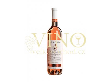 Screenshot 2022 11 04 at 17 00 27 Cabernet Moravia rosé