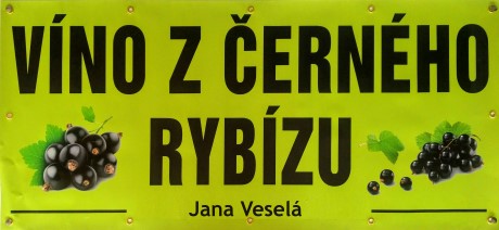 Ovocné víno z černého rybízu - Veselá Jana