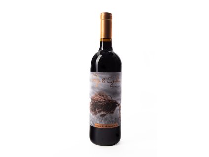 WINE 019