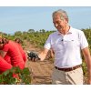 Primitivo 12eMezzo del Salento IGP 0,75l